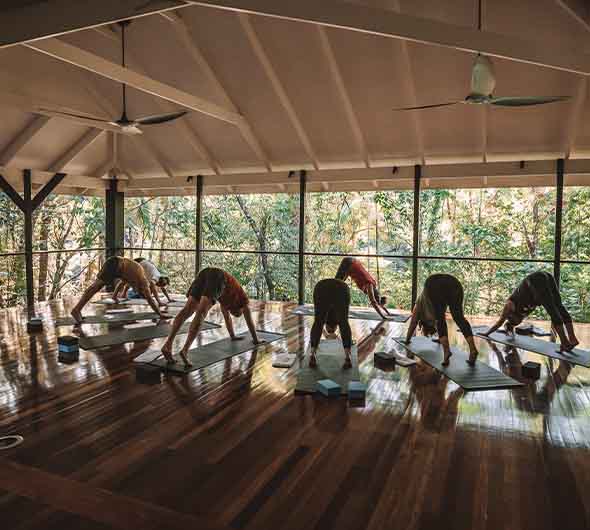 Yoga - Silky Oaks Lodge