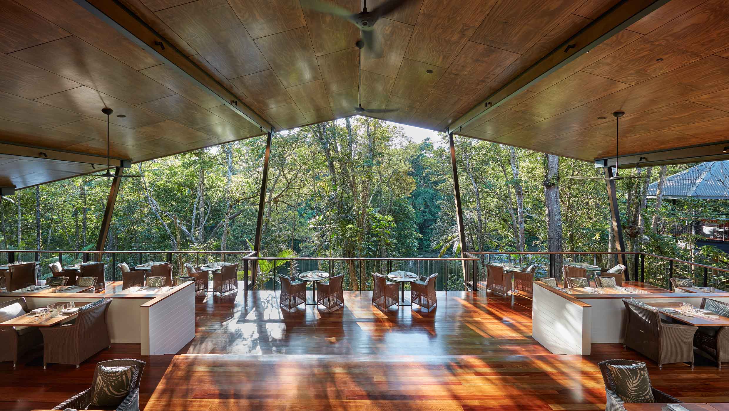 1 Experience the Daintree