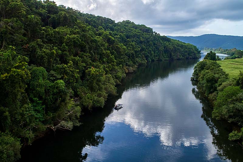 1 Daintree Boatman