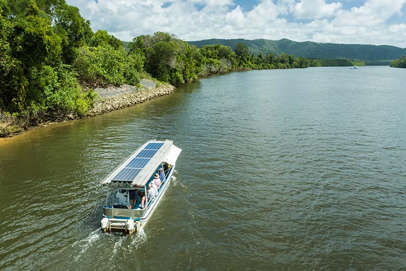 1 Solar Whisper Wildlife Cruise