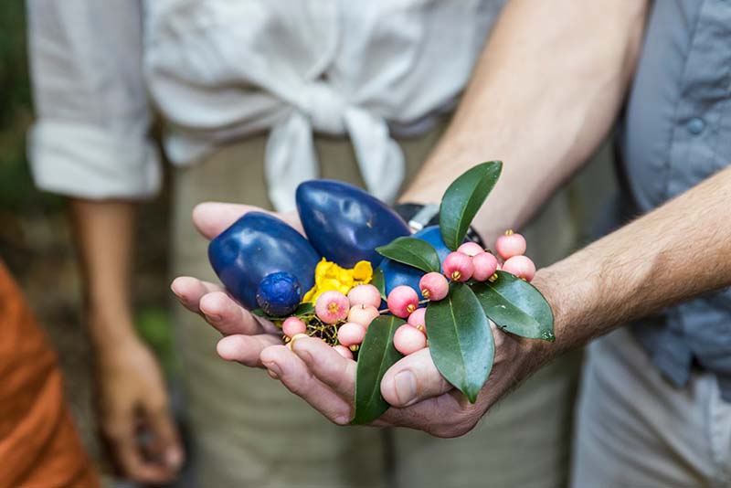 2 Daintree Exclusive Tour