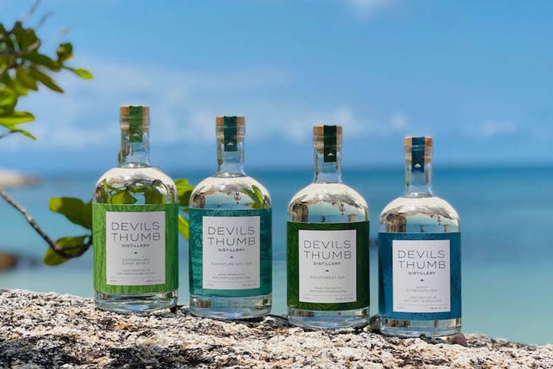 2 Port Douglas transfers