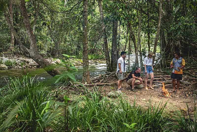 2 Tour of Kuku Yalanji Country