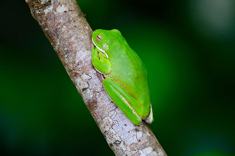 Beauty-Valley-Falls-Hike-1