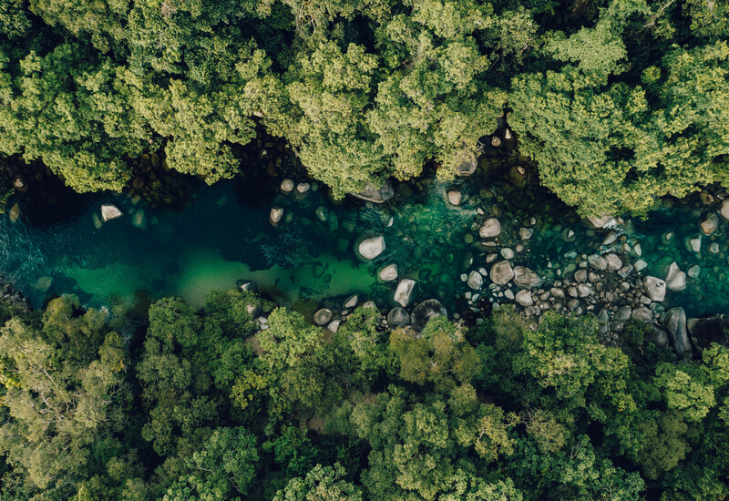 Mossman Gorge
