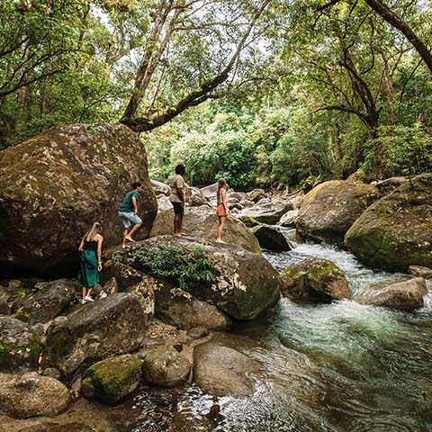 River &<br>Rainforest
