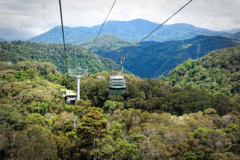 2 Skyrail Canopy Experience